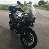 Tattooedveganbikerdude