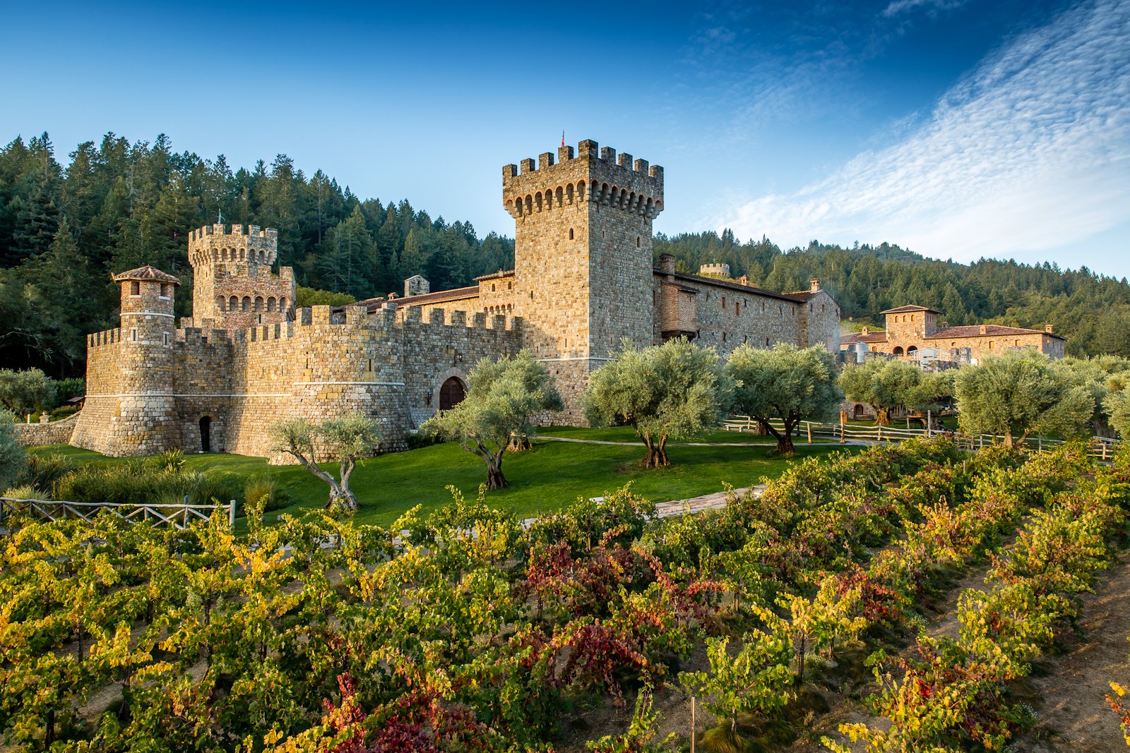 Castello di Amorosa All You Need to Know BEFORE You Go 2024