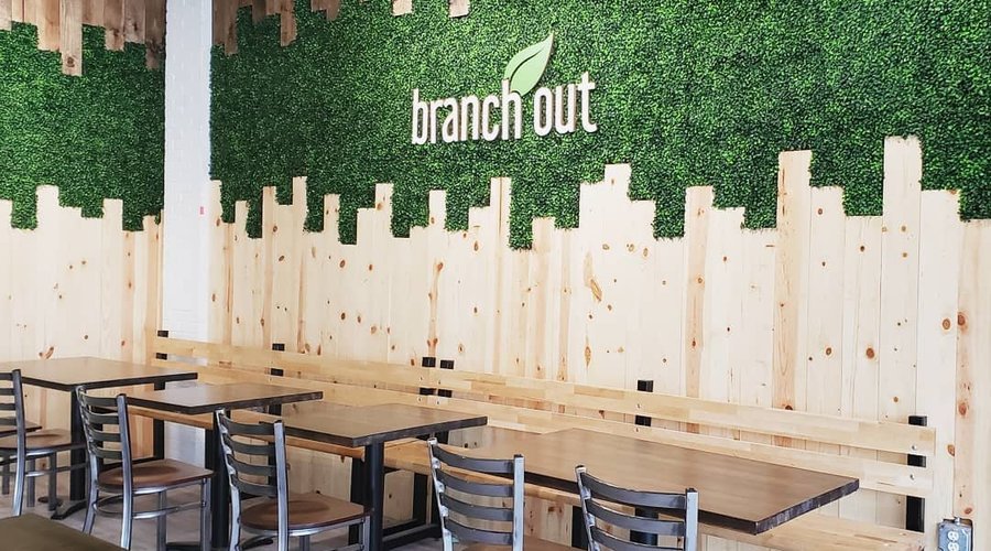 Branch Out
