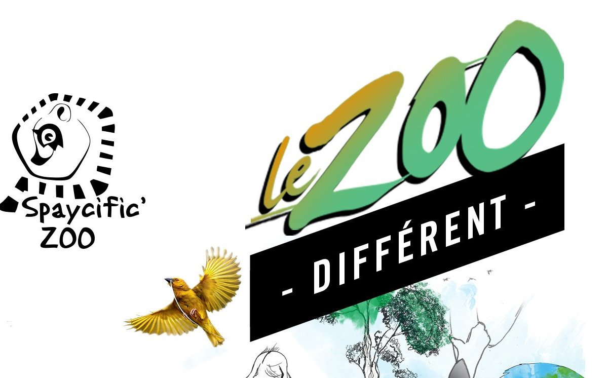 Spaycific'Zoo (Spay) - All You Need to Know BEFORE You Go