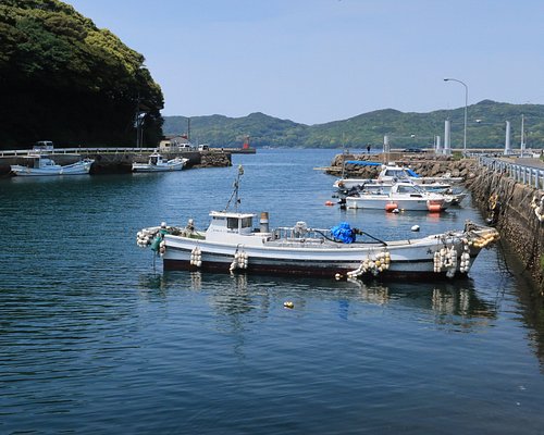 yacht harbor japan