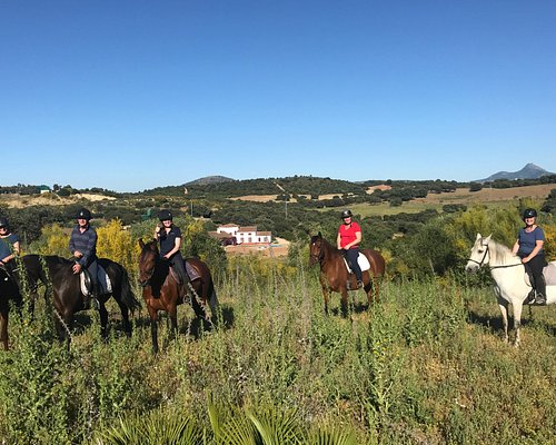 horse tour seville