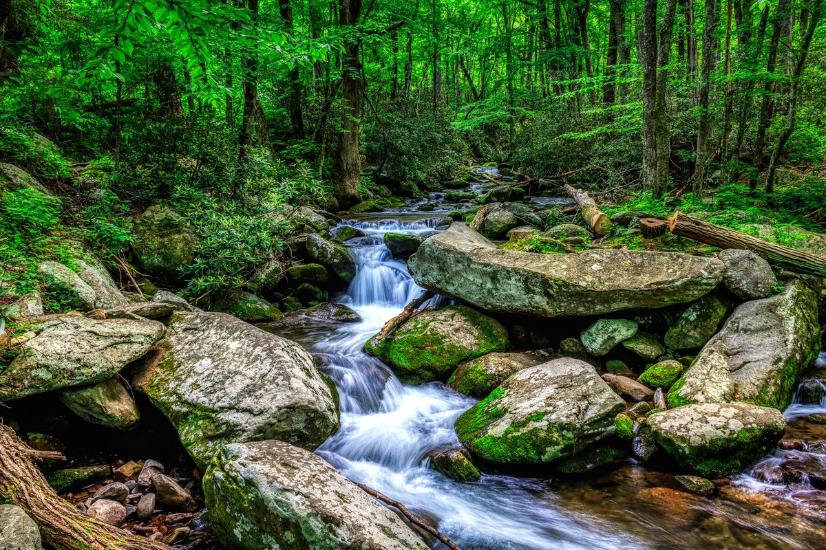 Roaring Fork Motor Nature Trail Map