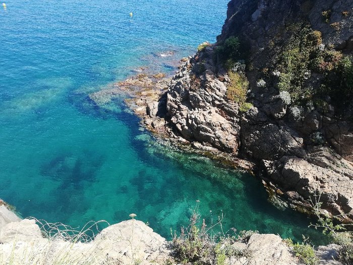 Imagen 1 de Cala de Sant Francesc