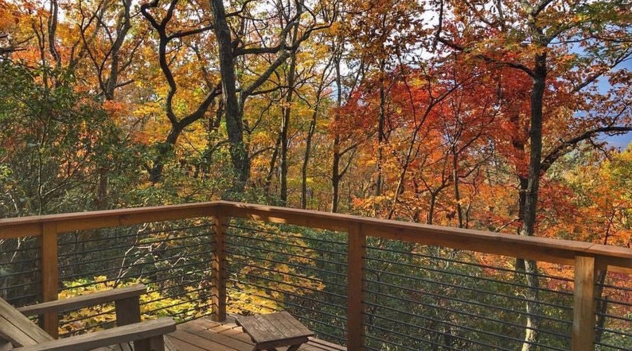 Deluxe Eco Cabin Back Porch