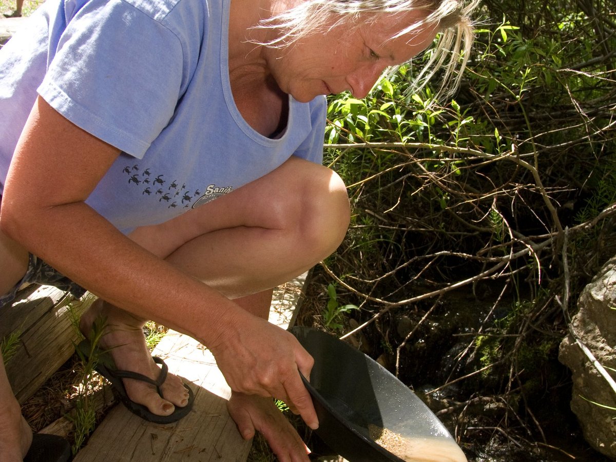 Gold Panning in Lomax Gulch