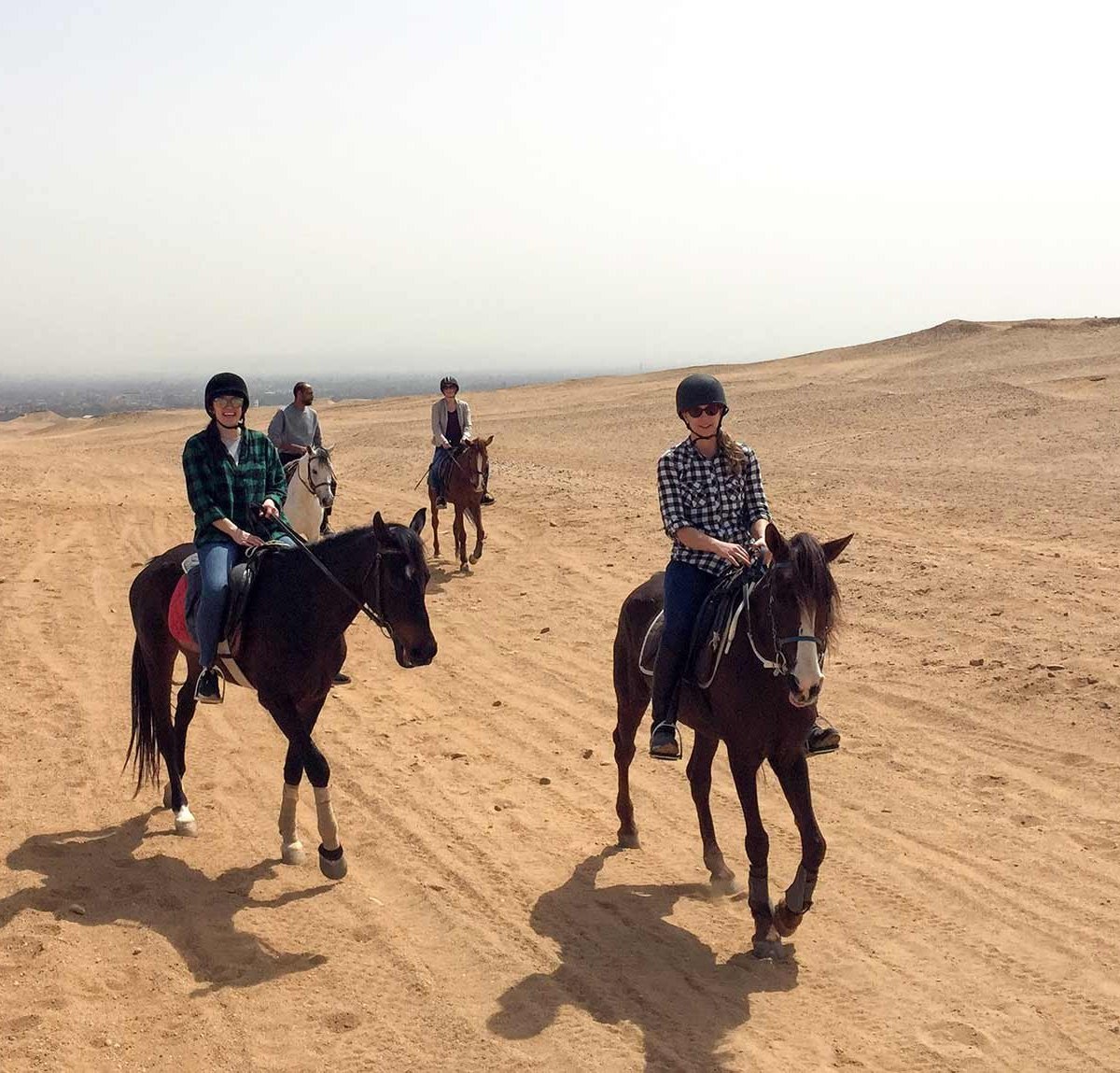 Cairo Horse Riding School, Гиза: лучшие советы перед посещением -  Tripadvisor