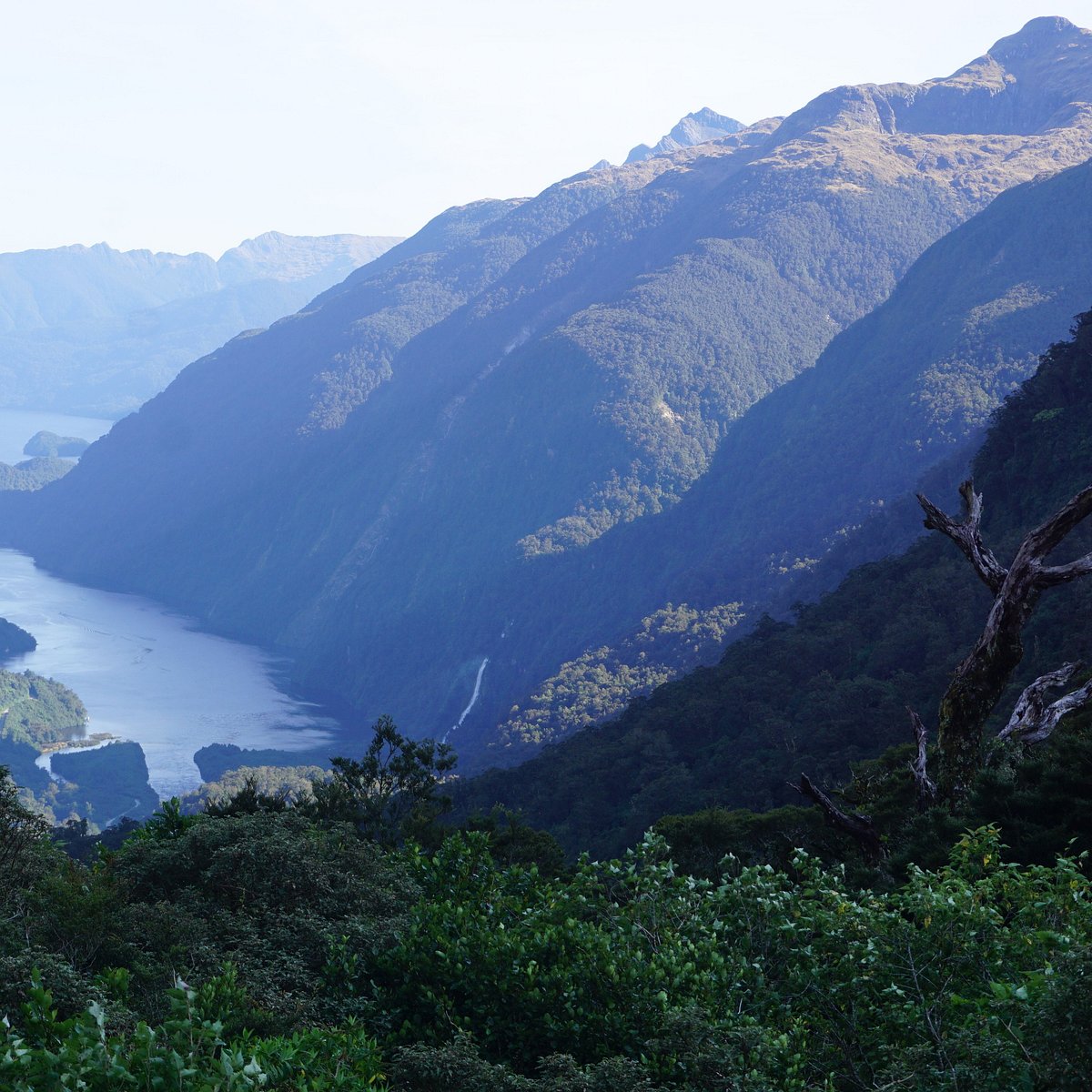 tripadvisor real journeys doubtful sound