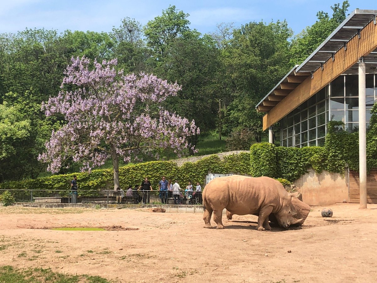 Zoopark Erfurt, Эрфурт: лучшие советы перед посещением - Tripadvisor