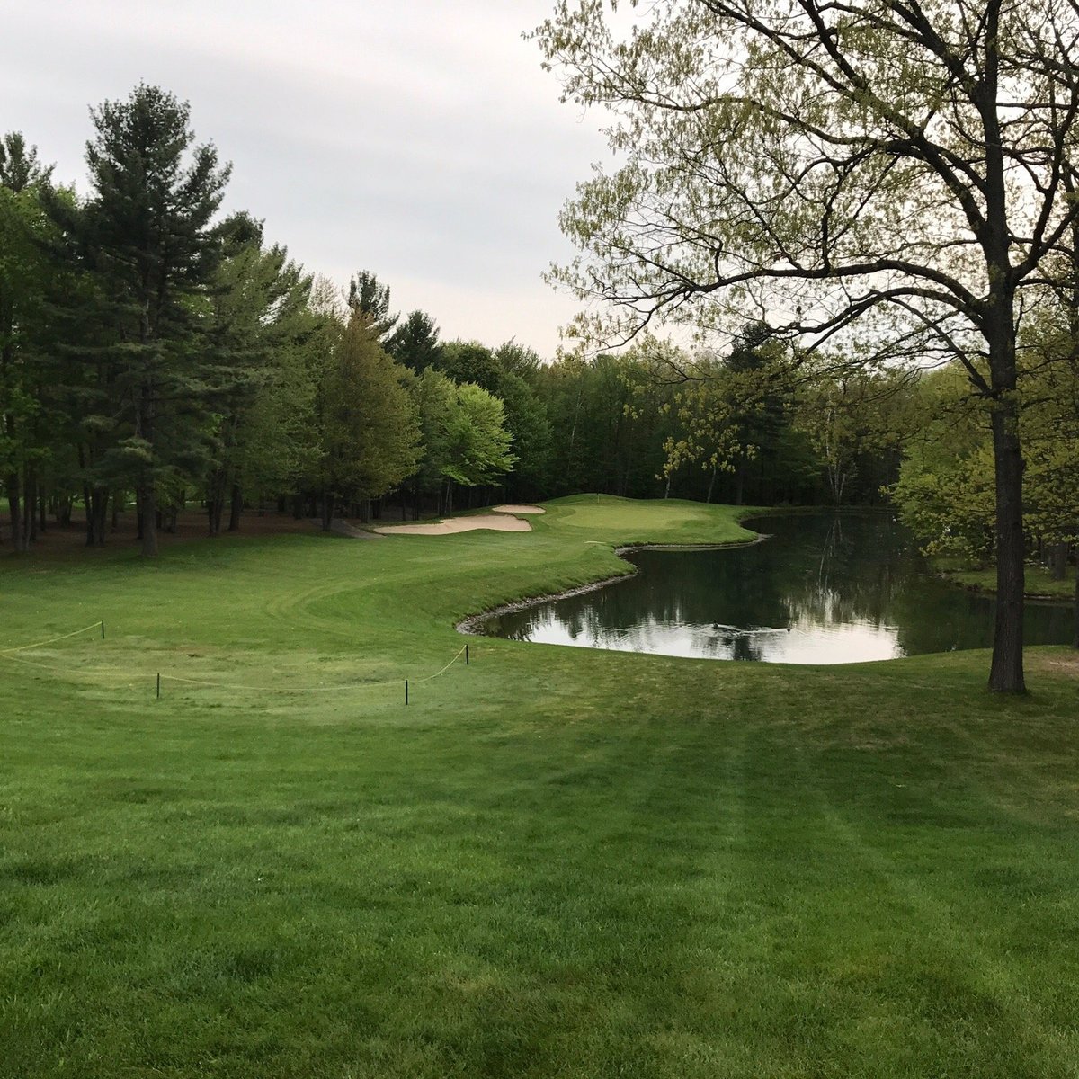 The Natural Golf Course (Gaylord) All You Need to Know BEFORE You Go