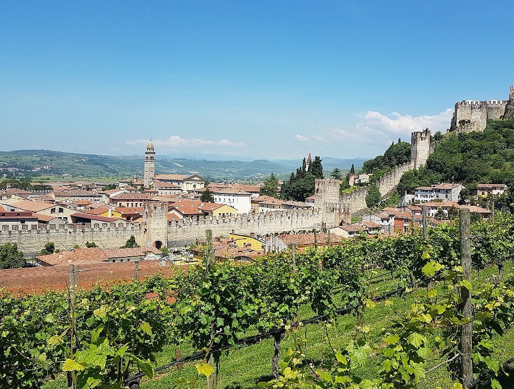 The 10 Best Italy Wineries And Vineyards Updated 2024 Tripadvisor 7446