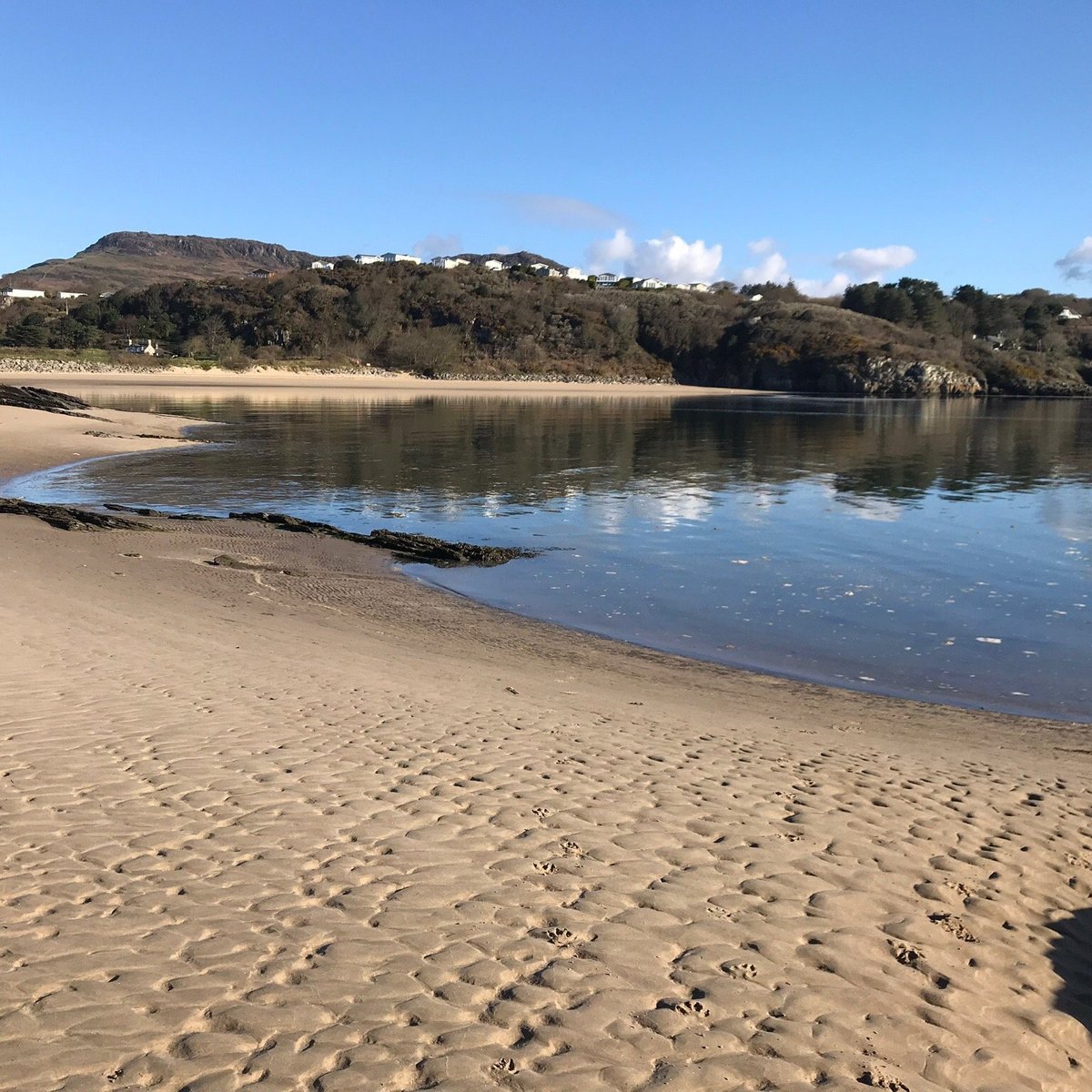 are dogs allowed on black rock beach