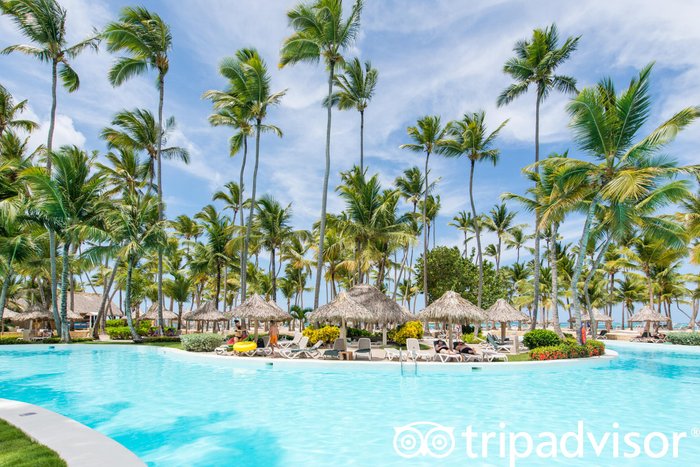 Melia Punta Cana Beach Wellness Inclusive - Adults only Pool: Pictures ...