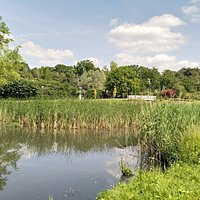 Molenvijver