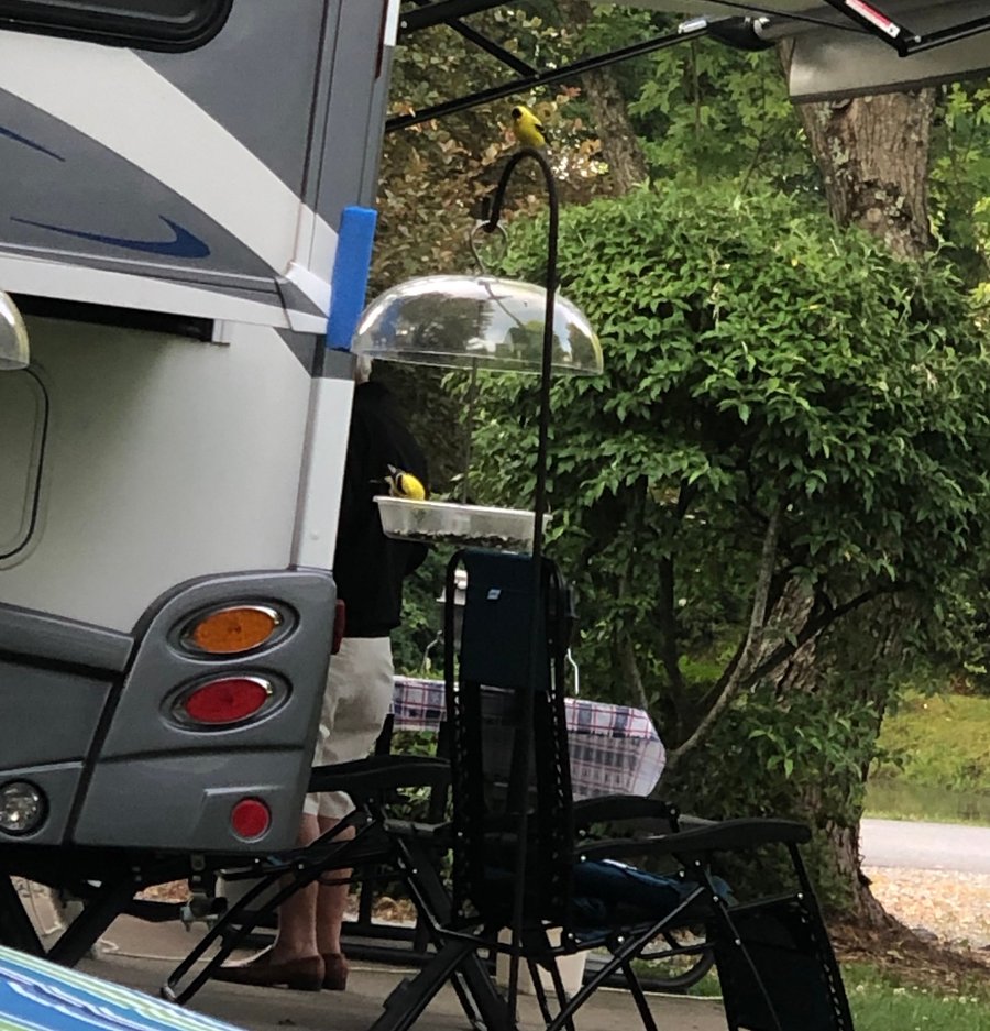 Lakewood Rv Resort Updated 2020 Campground Reviews Flat Rock Nc Tripadvisor