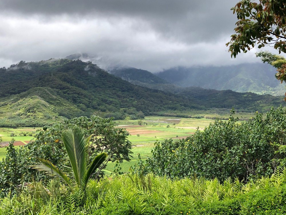 THE 15 BEST Things to Do in Hanalei (2024) - Must-See Attractions