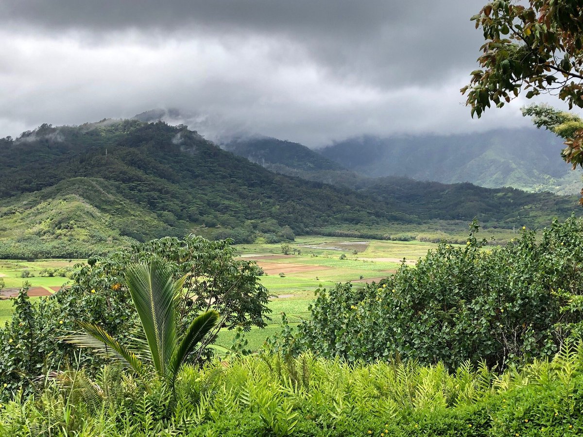 Hanalei National Wildlife Refuge - All You Need to Know BEFORE You Go ...