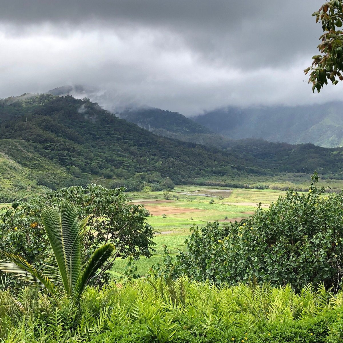 Hanalei National Wildlife Refuge - All You Need To Know Before You Go 