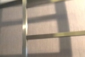 旅行者の写真