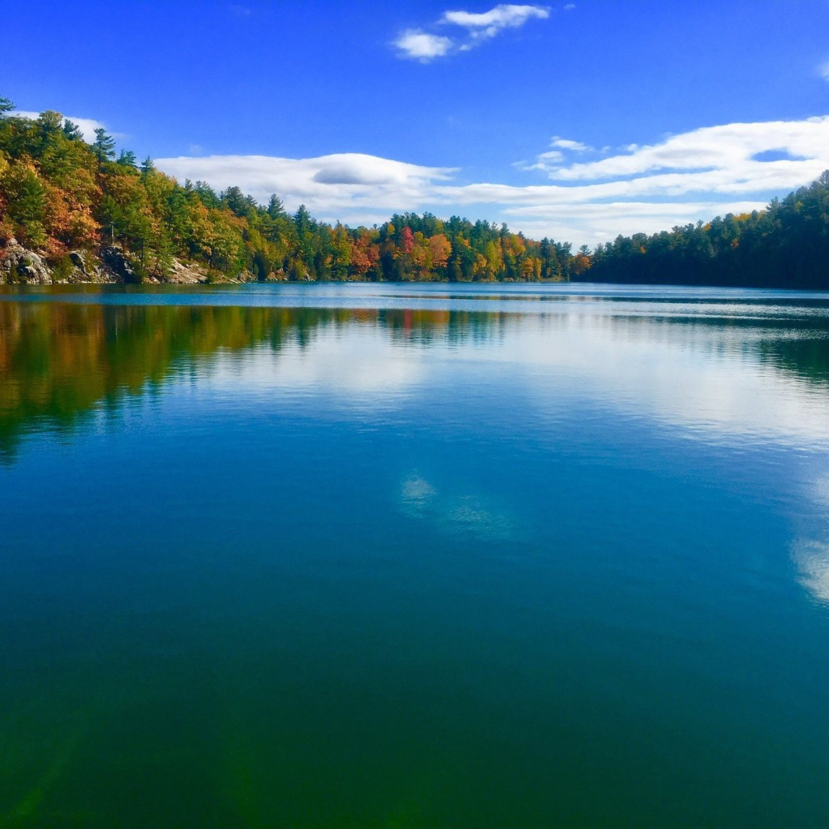 is gatineau park dog friendly