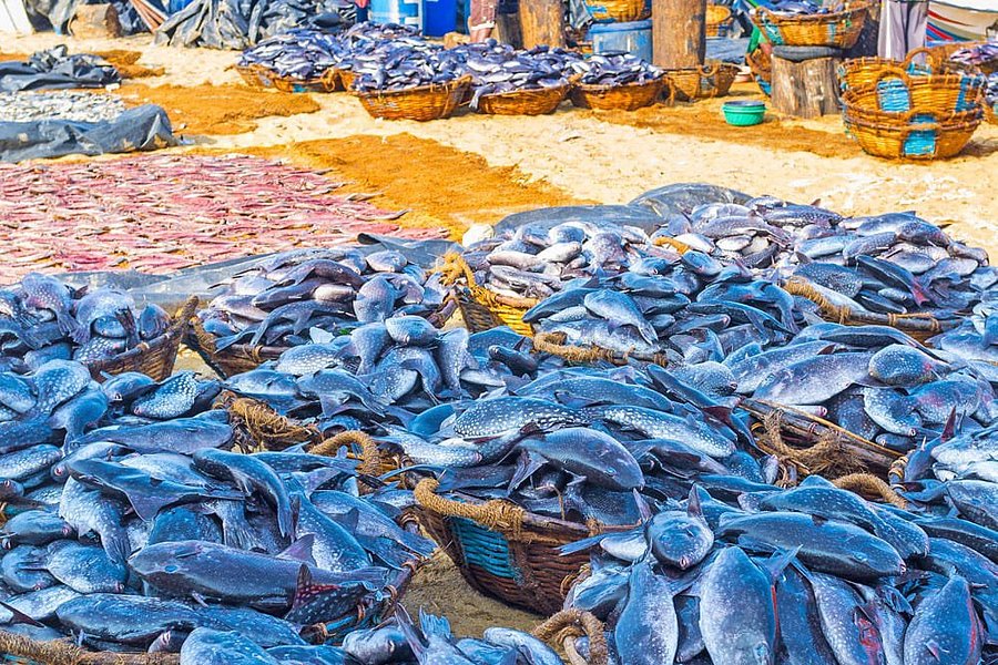 Negombo Fish Market image
