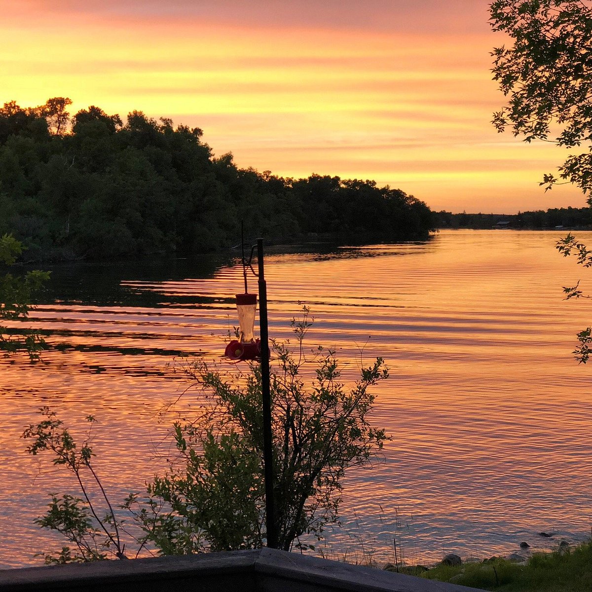 Explore The Pristine Waters Of Lake Metigoshe With Our Boat Rentals