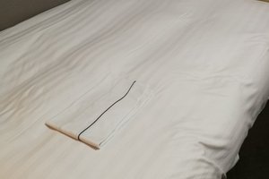 旅行者の写真