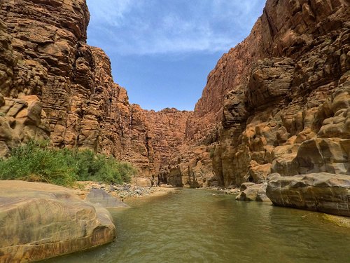 THE 5 BEST Jordan Nature Wildlife Areas (with Photos) -