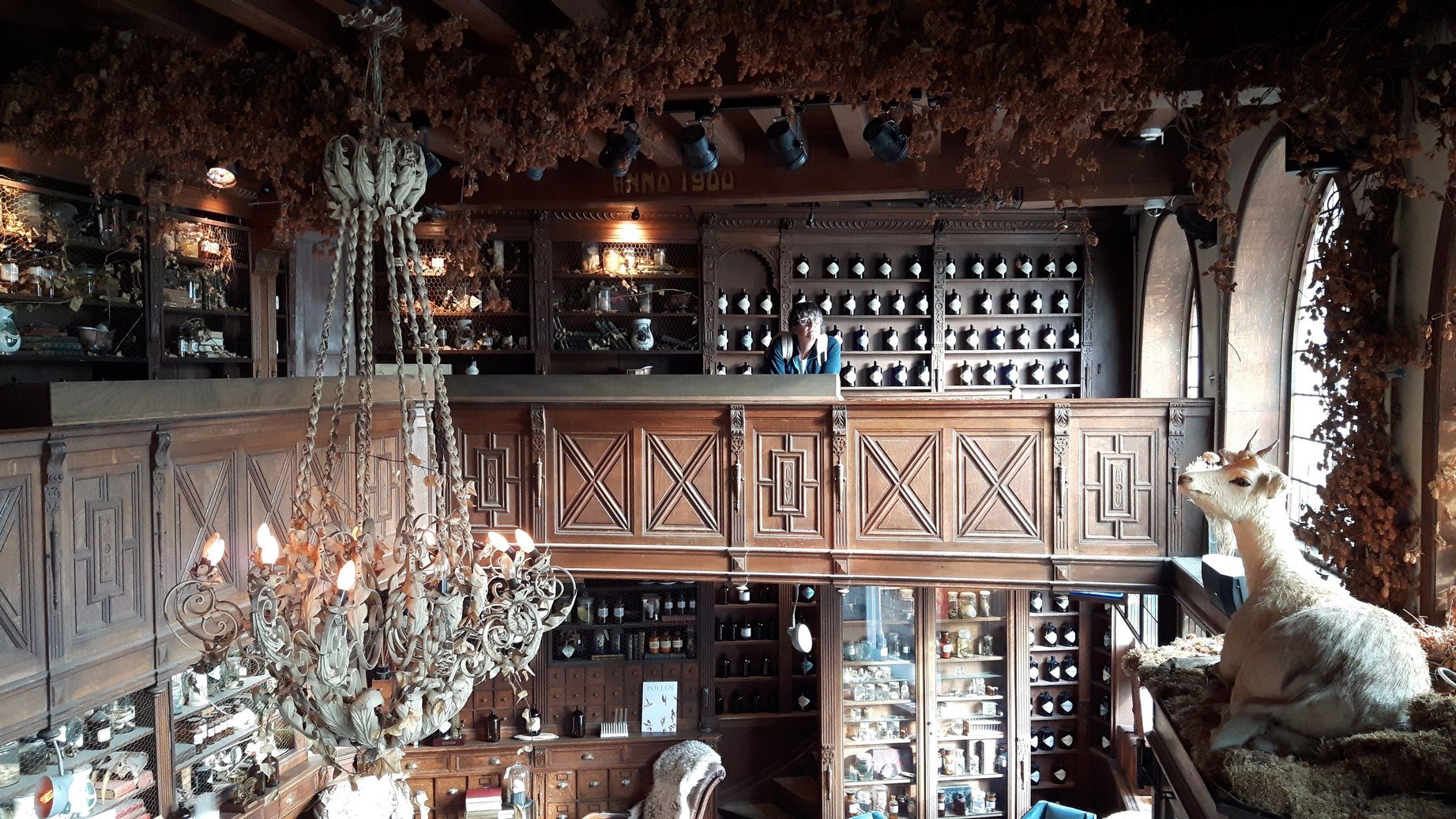 La Pharmacie Anglaise All You Need to Know BEFORE You Go 2025