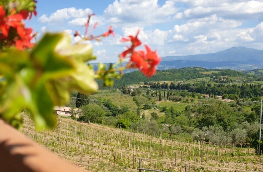 best wineries to visit near montalcino