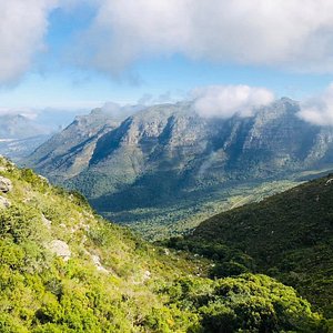 unde să cumpărați nutralu în cape town pbp burning fat