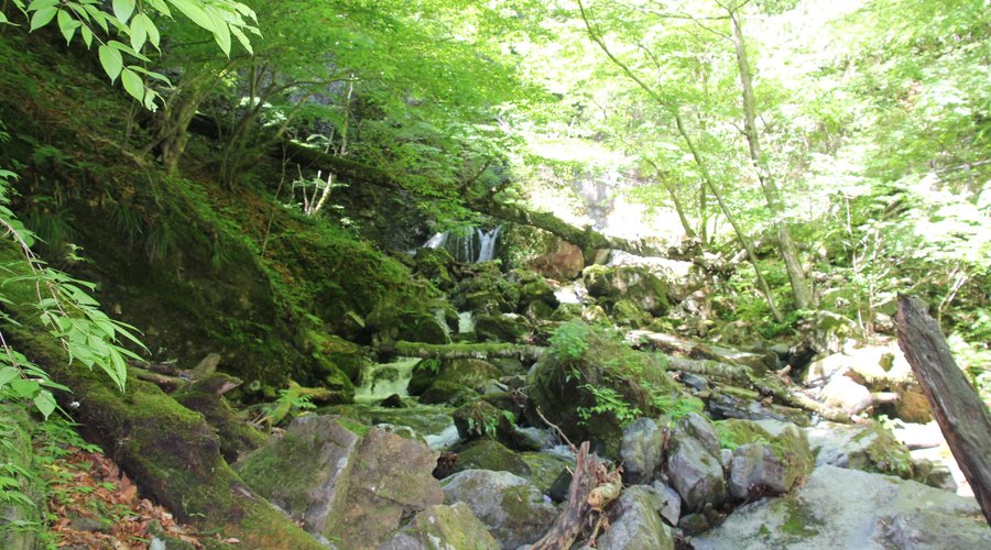綺麗な川沿いに滝まで歩きます