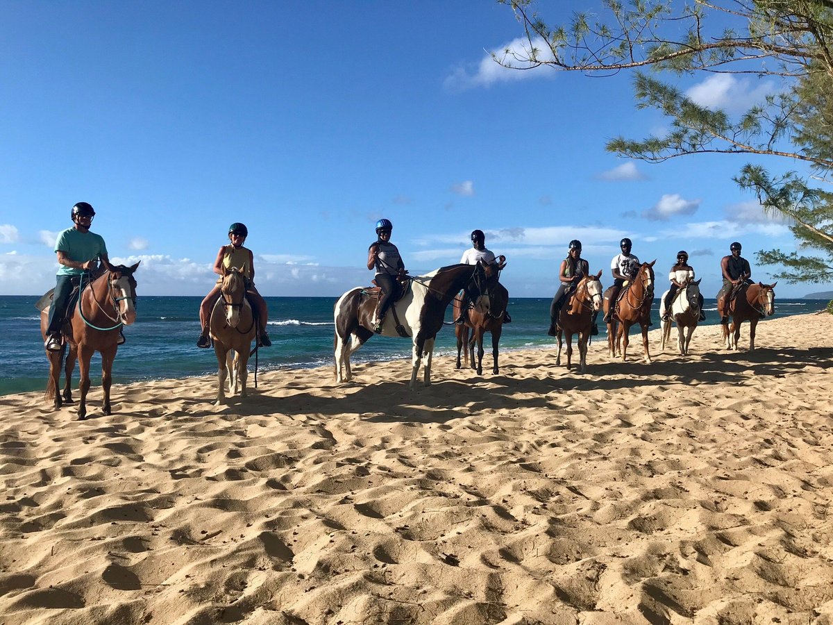 ヌーディストビーチのロリ  " 2025年 Hawaii Polo Trail Rides - 出発前に知っておくべきことすべて - トリップアドバイザー