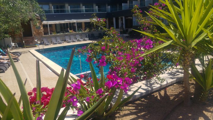 Imagen 7 de Hotel Ipanema Beach