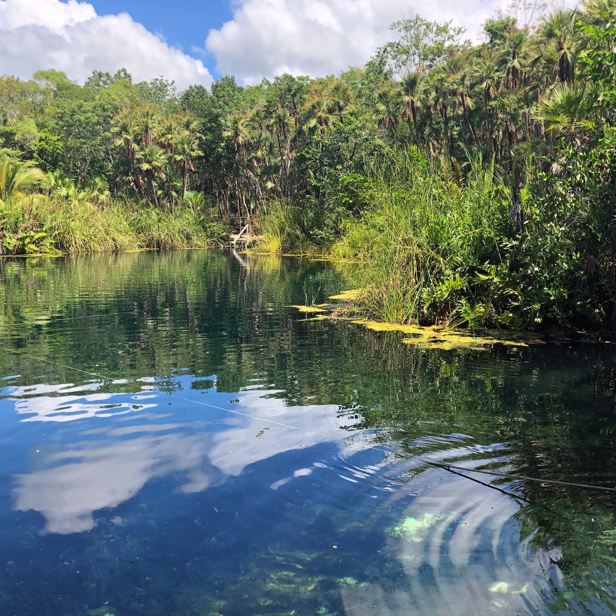 Immerse Yourself in Beauty: Unraveling the Magic of Cenote Cristal Tulum - A Preservation initiatives and responsible tourism practices