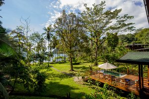 Playa Cativo Eco Lodge in Osa Peninsula, image may contain: Resort, Hotel, Rainforest, Vegetation