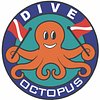 OctopusDiveIndonesia