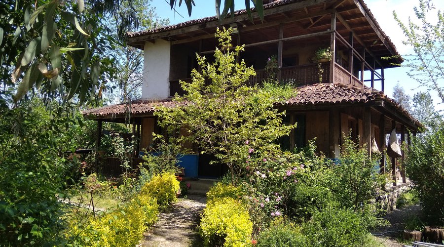 Khoonegeli Spring 2019