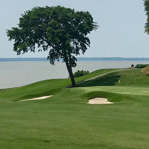 The River Course - All You Need to Know BEFORE You Go (with Photos)