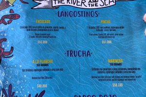 Carta