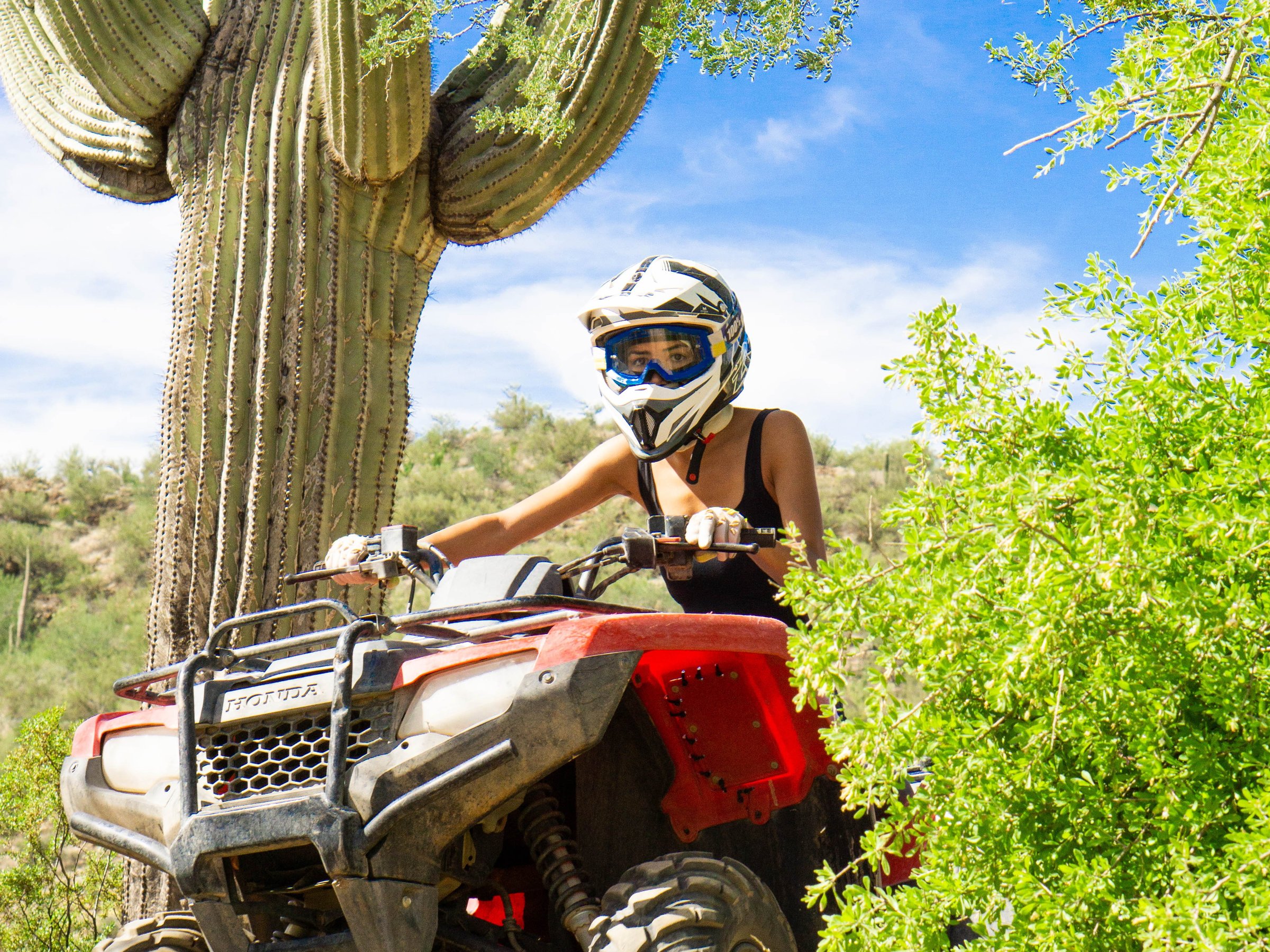 Arizona outdoor fun adventures tours 2025 all you need to know