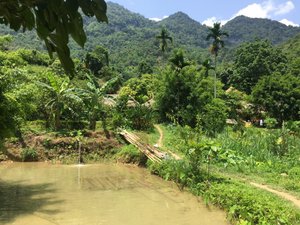 Cảnh nhìn từ phòng