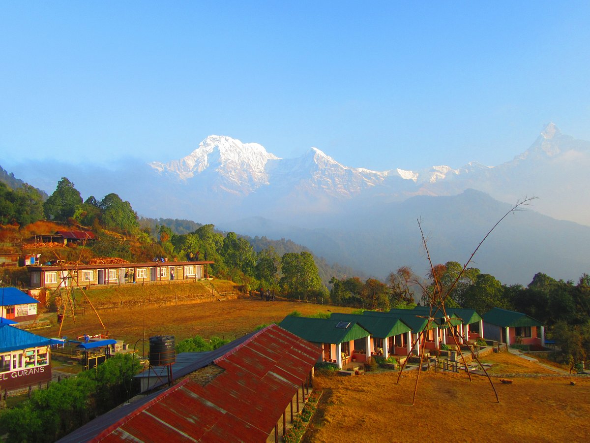 Nepal One Tours & Travels (Kathmandu) - All You Need to Know BEFORE You Go