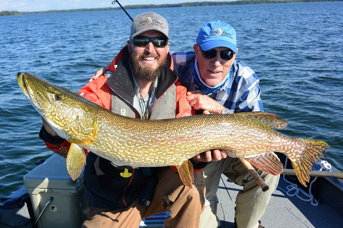 Essential Fishing Lures for Northern Manitoba- North Haven Resort