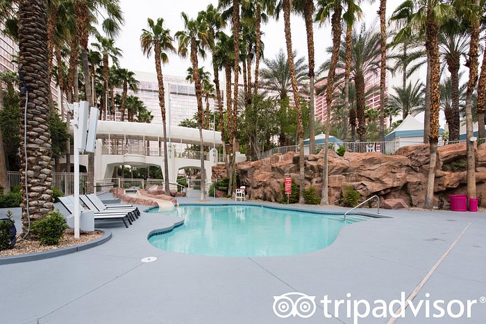 Flamingo Las Vegas Pool Pictures & Reviews - Tripadvisor