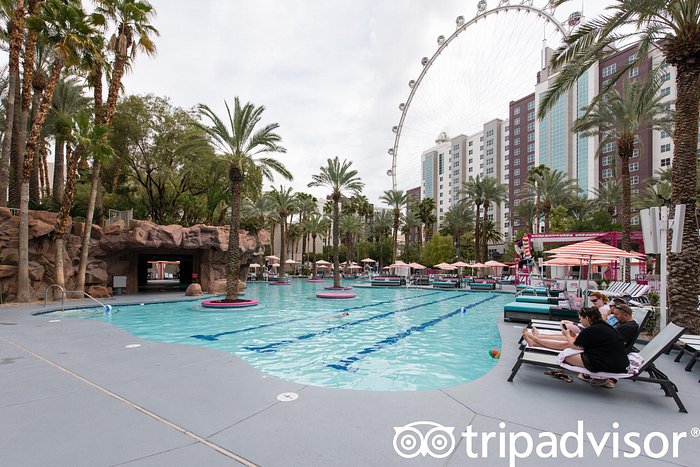 Flamingo Las Vegas Pool Pictures & Reviews - Tripadvisor