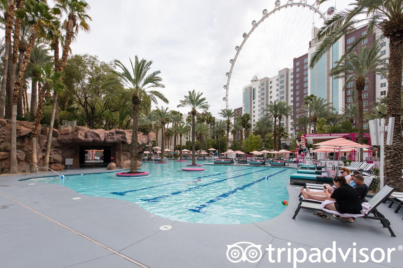 Flamingo Las Vegas Pool: Pictures & Reviews - Tripadvisor