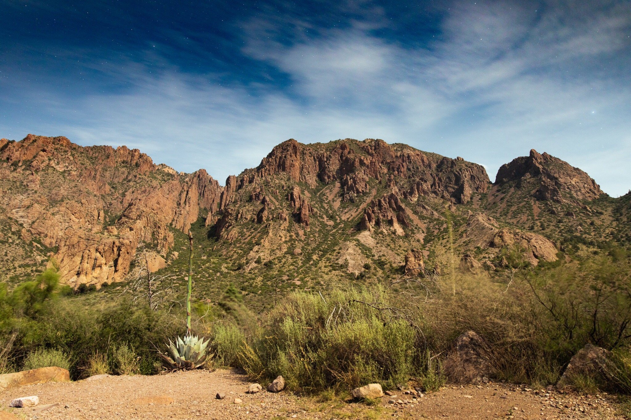 Chisos Basin Campground by null
