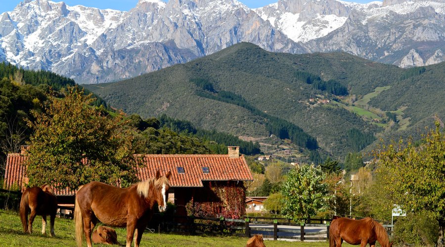VISTA DE LOS PICOS DE EUROPA DESDE HOTEL-POSADA " LA CASA DE FRAMA"