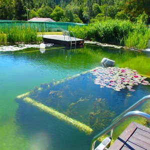 Achei muito interessante e amiga do ambiente a piscina biológica.